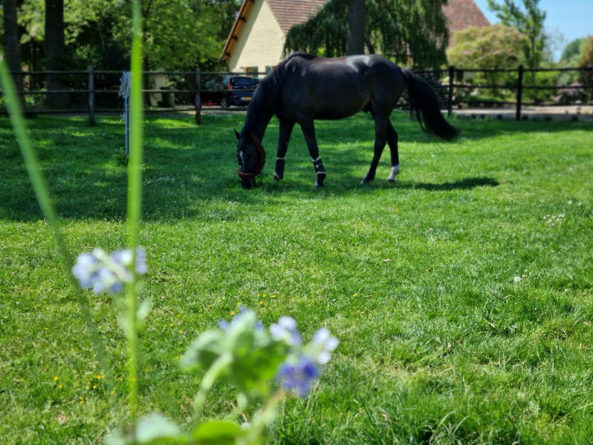 Vakantiewoning Schouwenberg Swalmen Zewnętrze zdjęcie
